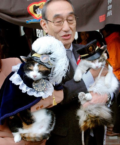 Tama (kiri), kucing maskot stasiun Kishi dan Nitama (kanan) calon pengganti kepala stasiun yang baru