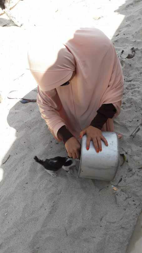 Desy Marlina Amin, penyelamat kucing dan anjing liar di Nusa Tenggara Barat.