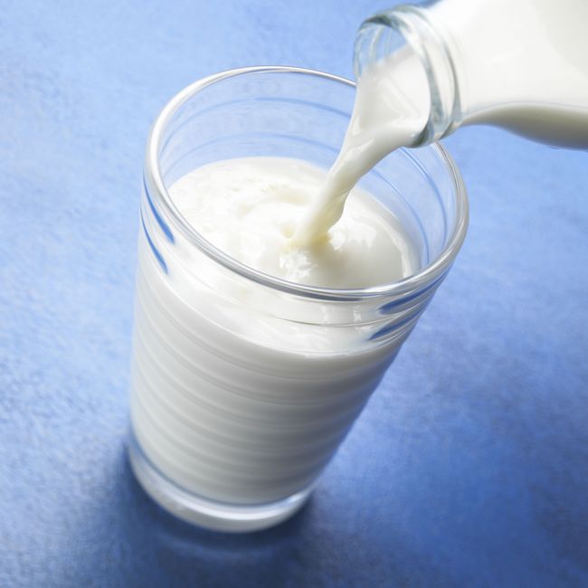 Susu sapi (full cream) mengandung laktosa yang sulit dicerna oleh perut si meong.