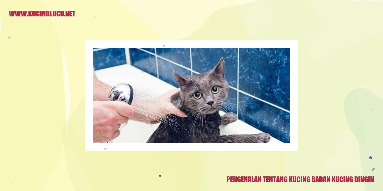 Badan Kucing Dingin Fakta Menarik Tentang Karakteristik Dan