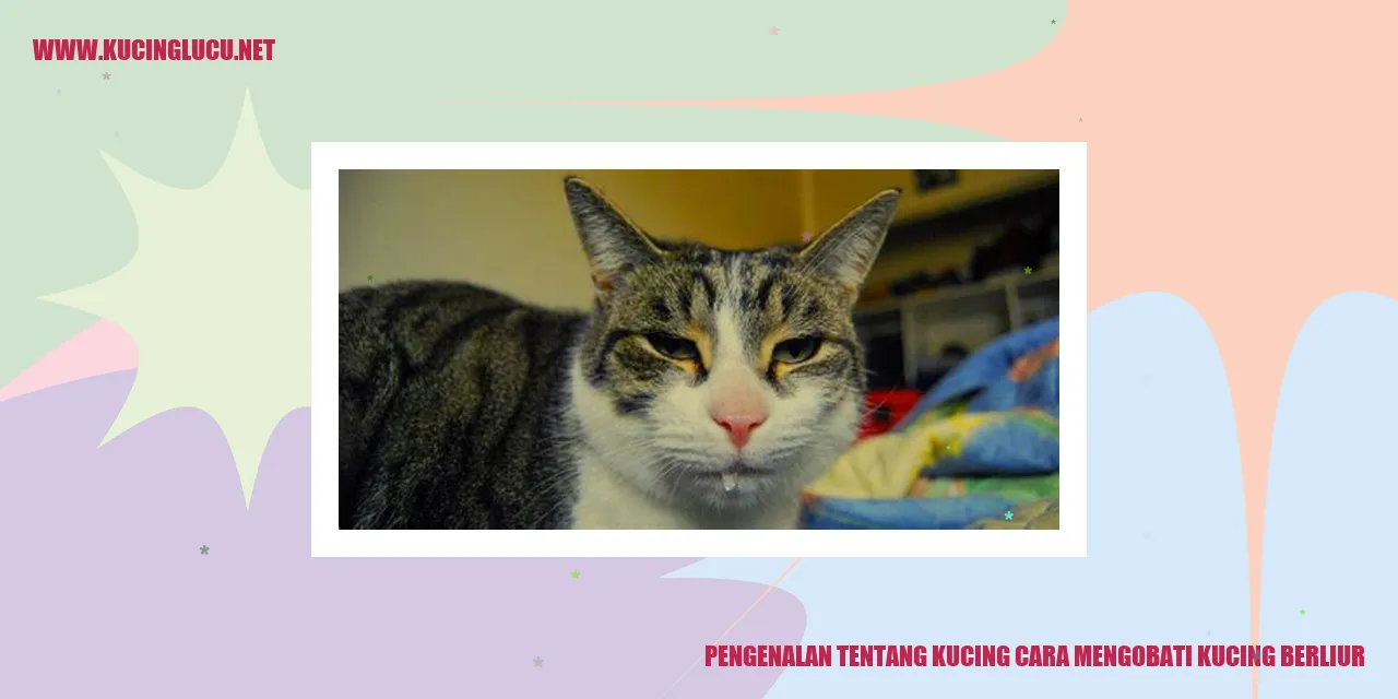 Cara Mengobati Kucing Berliur Dengan Efektif Kucing Lucu Net