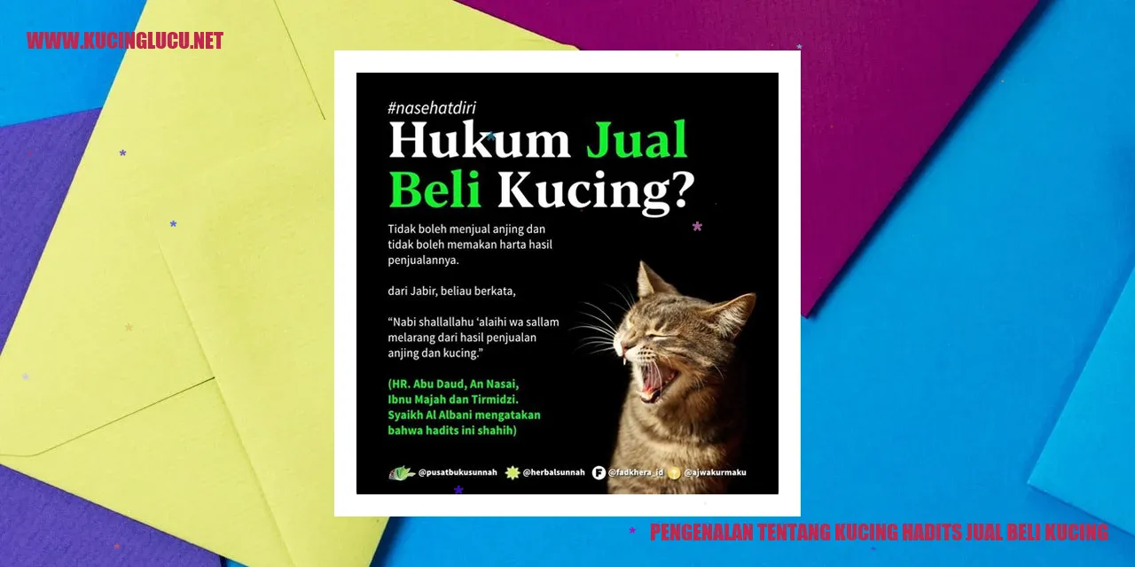 Hadits Jual Beli Kucing Panduan Lengkap Dan Maksimal Kucing Lucu Net