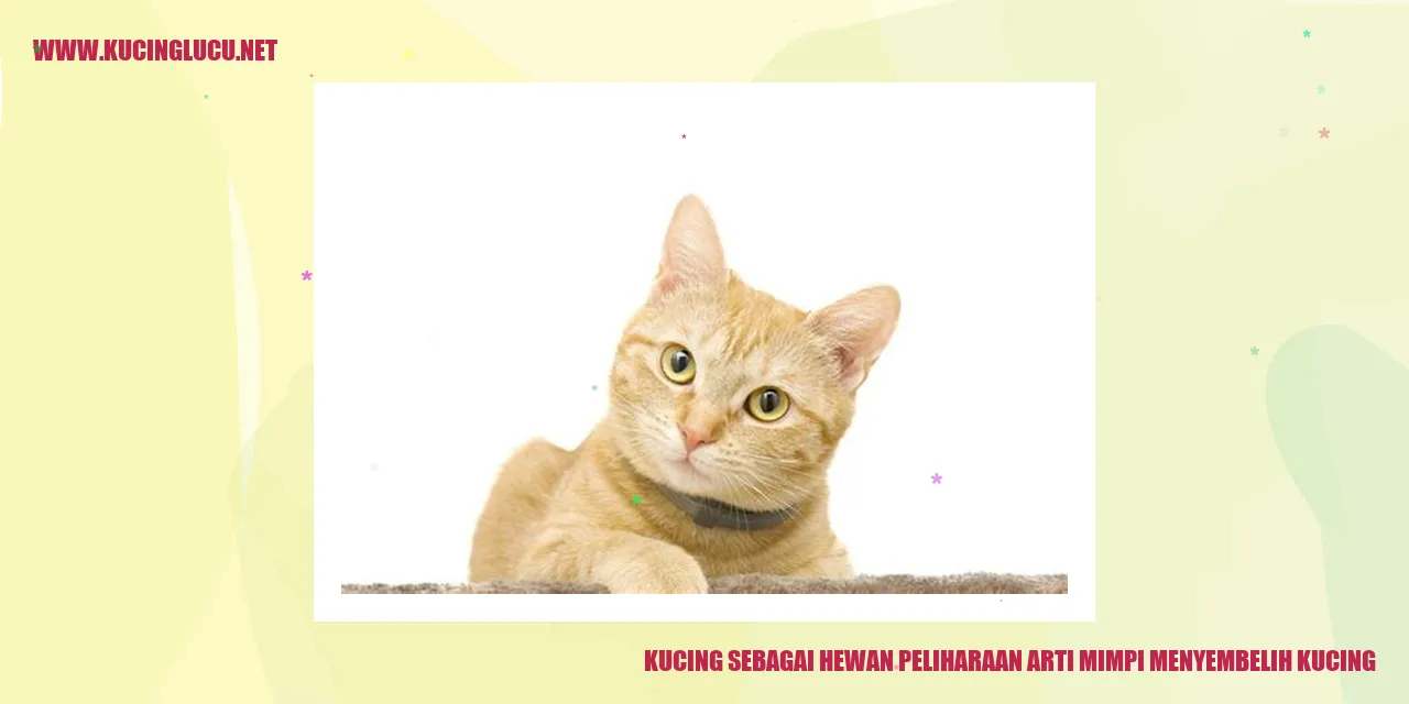 Arti Mimpi Menyembelih Kucing Tafsir Dan Makna Tersembunyi Kucing