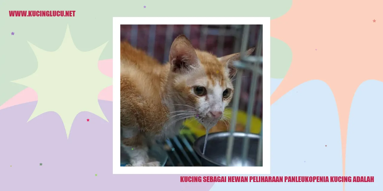 Panleukopenia Kucing: Penyebab, Gejala, Dan Pengobatan | Kucing Lucu Net