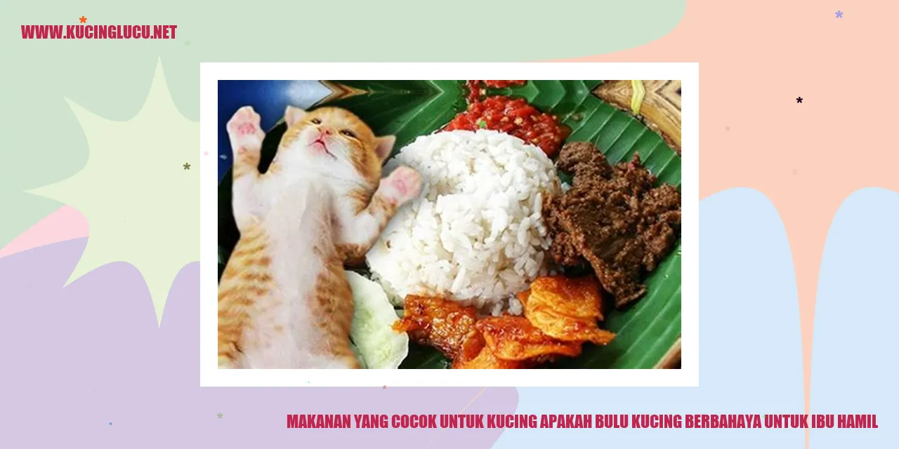 Apakah Bulu Kucing Berbahaya Untuk Ibu Hamil? | Kucing Lucu Net