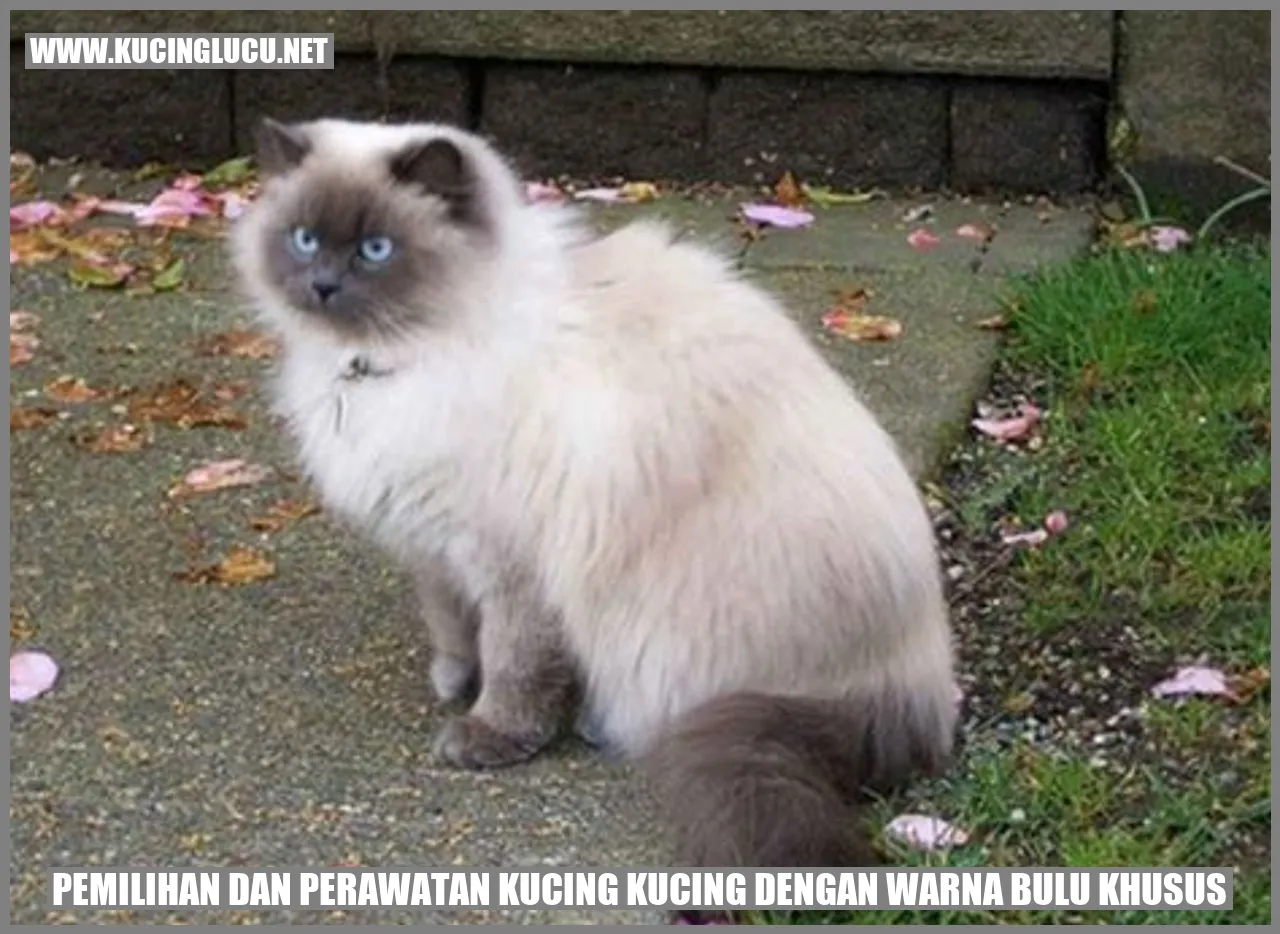 Kucing Dengan Warna Bulu Khusus: Pesona Yang Menyentuh Hati | Kucing ...