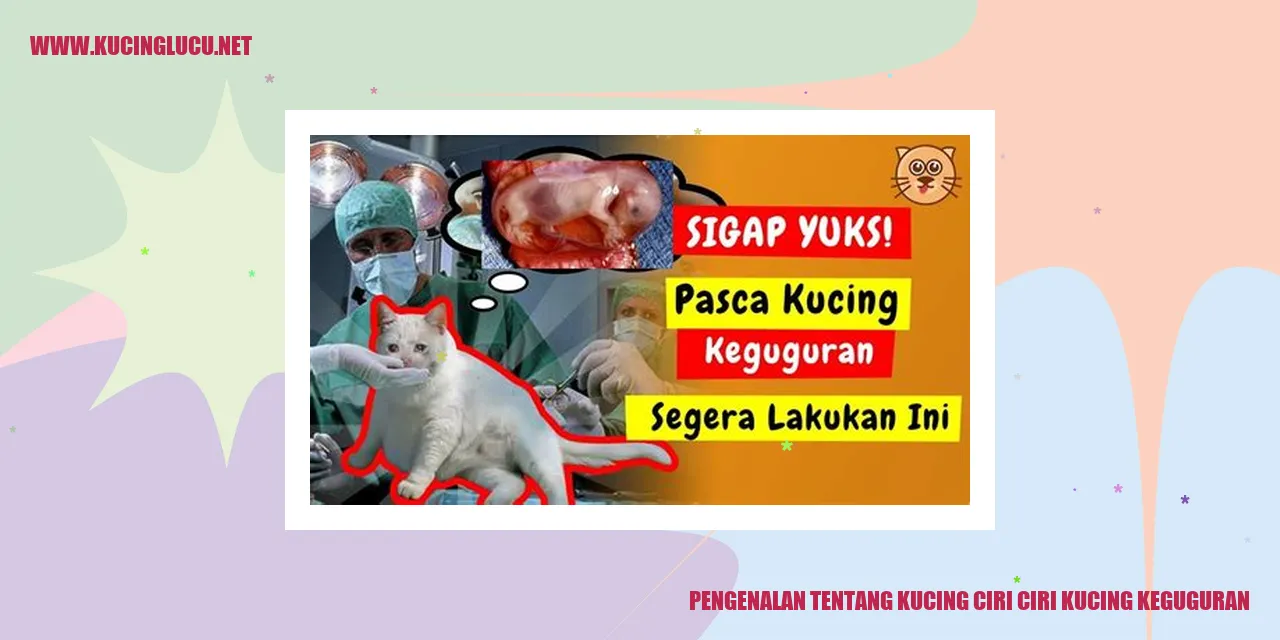 Ciri Ciri Kucing Keguguran: Mengenali Tanda-tanda Dan Penyebabnya ...